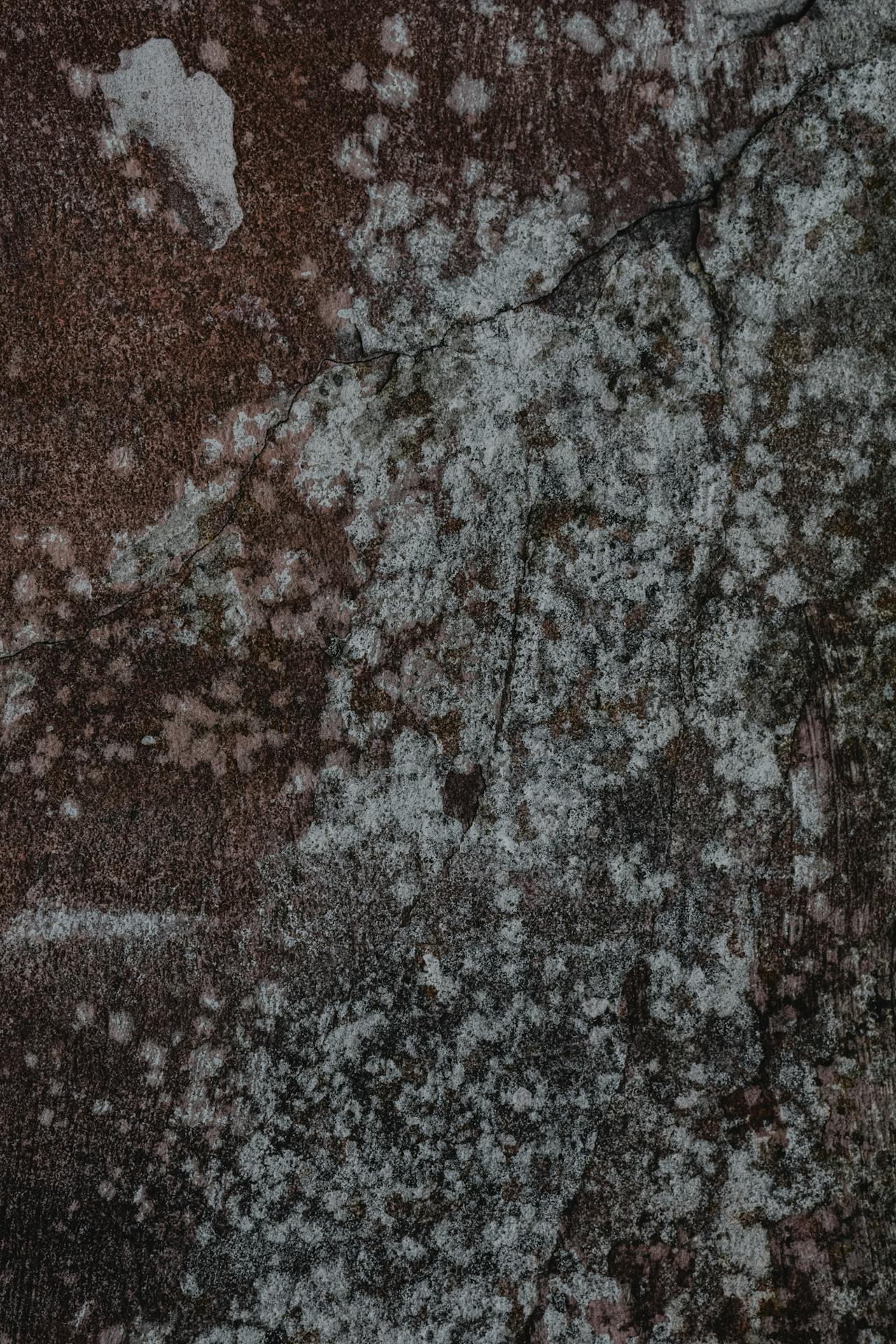Spray foam insulation moisture and mold concerns